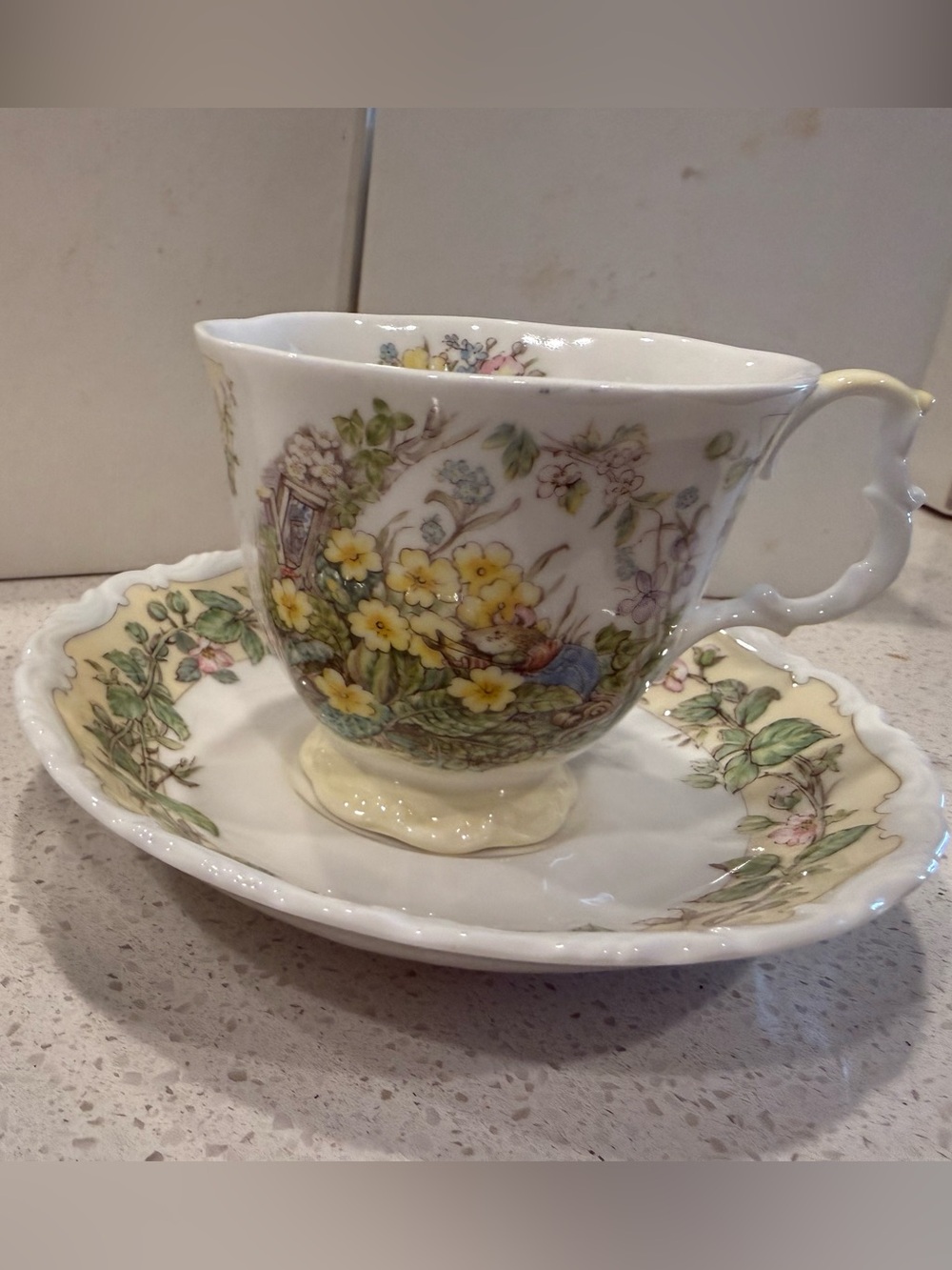 Royal Doulton Brambly Hedge Spring cup and saucer
